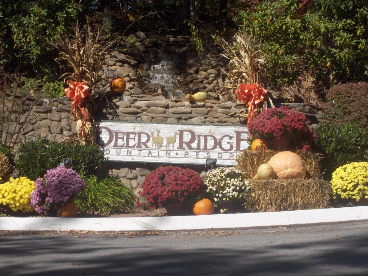 Deer Ridge Mountain Resort Pittman Center Экстерьер фото