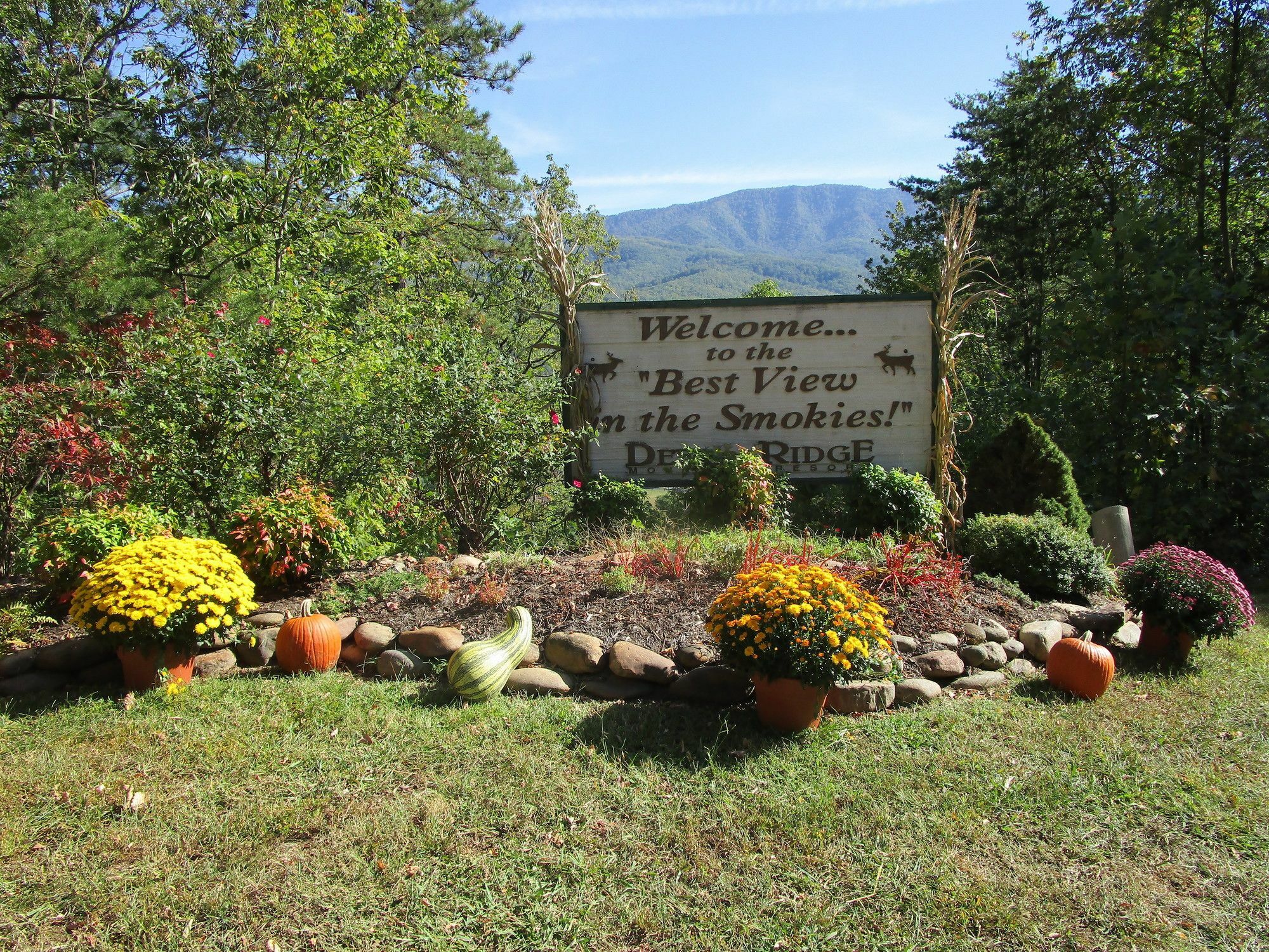 Deer Ridge Mountain Resort Pittman Center Экстерьер фото